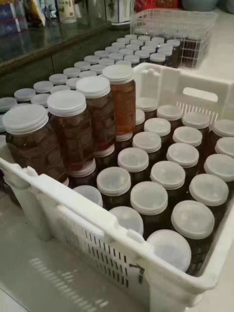 龙眼蜜土蜂蜜自养