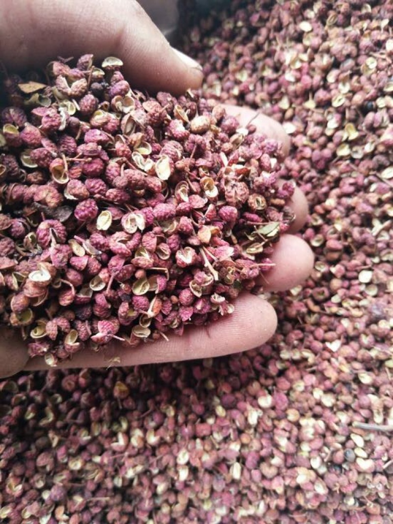 大红袍花椒特级干