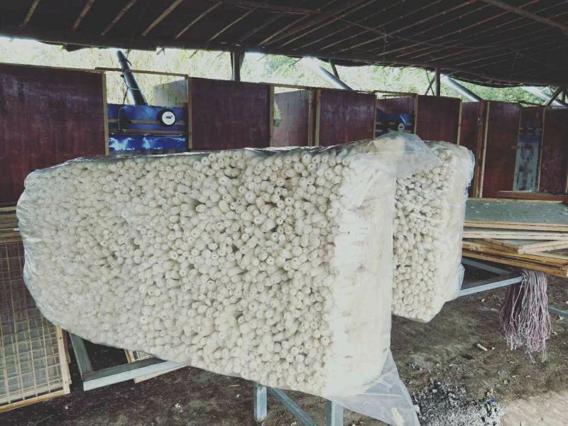 竹荪包邮竹荪长裙竹荪蛋全国发货包邮支持一件