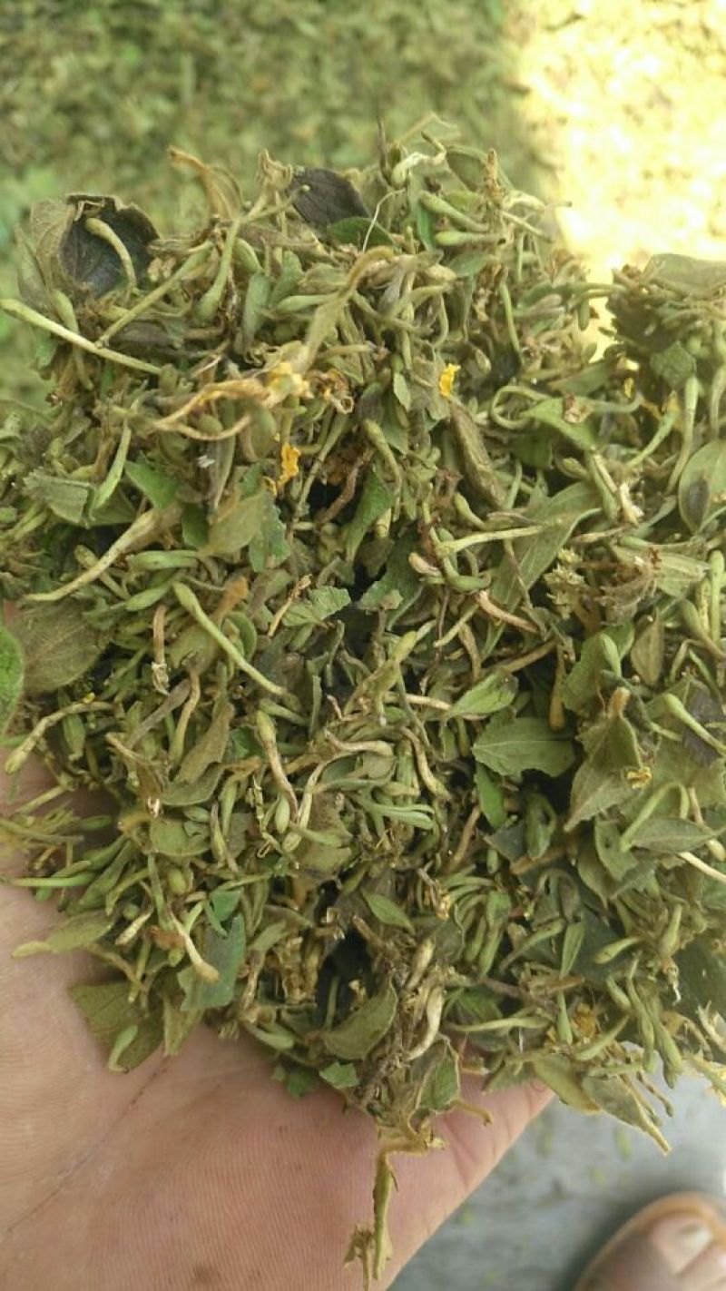 金银花统花