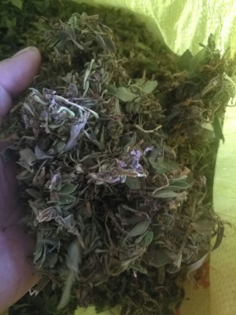 金银花统花