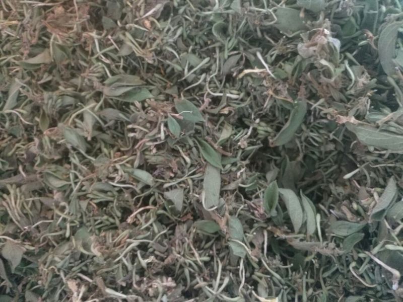 金银花统花