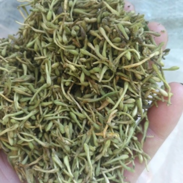 金银花统花
