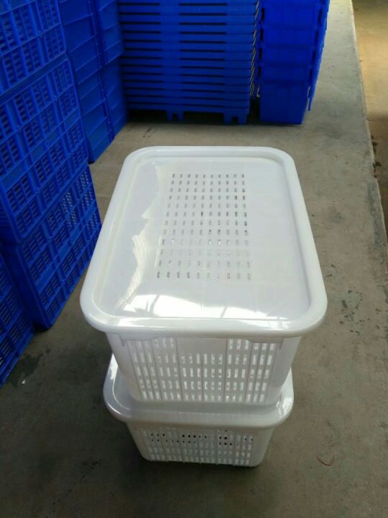 大水桶和虾框