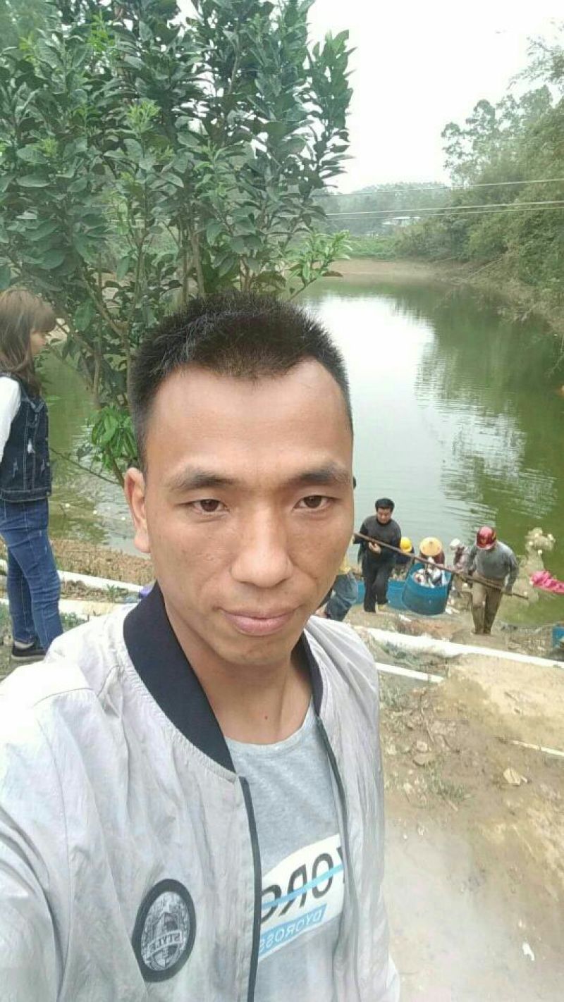 巴沙鱼.鱼柳全国大量供应质保证