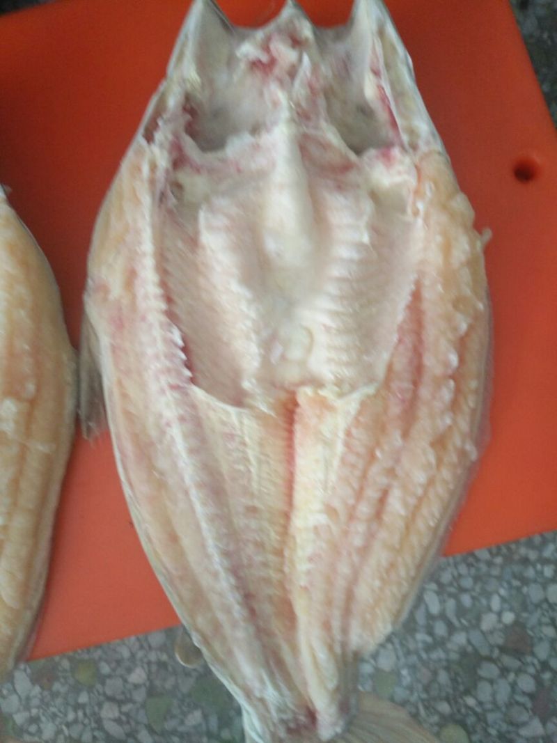 巴沙鱼.鱼柳全国大量供应质保证