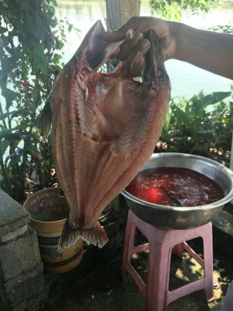 巴沙鱼.鱼柳全国大量供应质保证