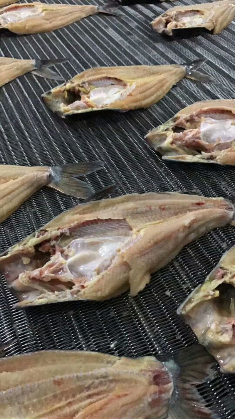巴沙鱼.鱼柳全国大量供应质保证