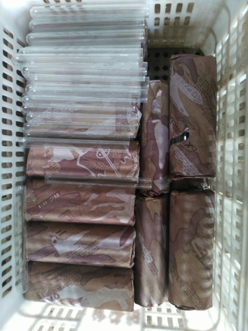 【高产】平菇菌棒高产抗病菌菇提供技术服务假一罚十