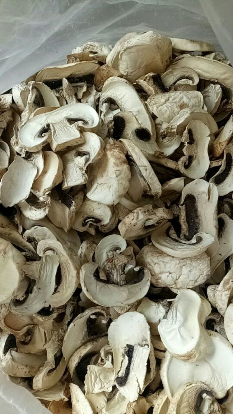 双孢菇干片