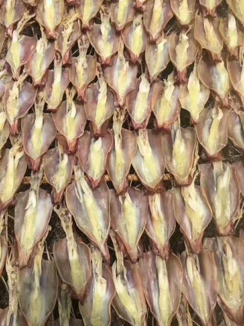 鱿鱼母