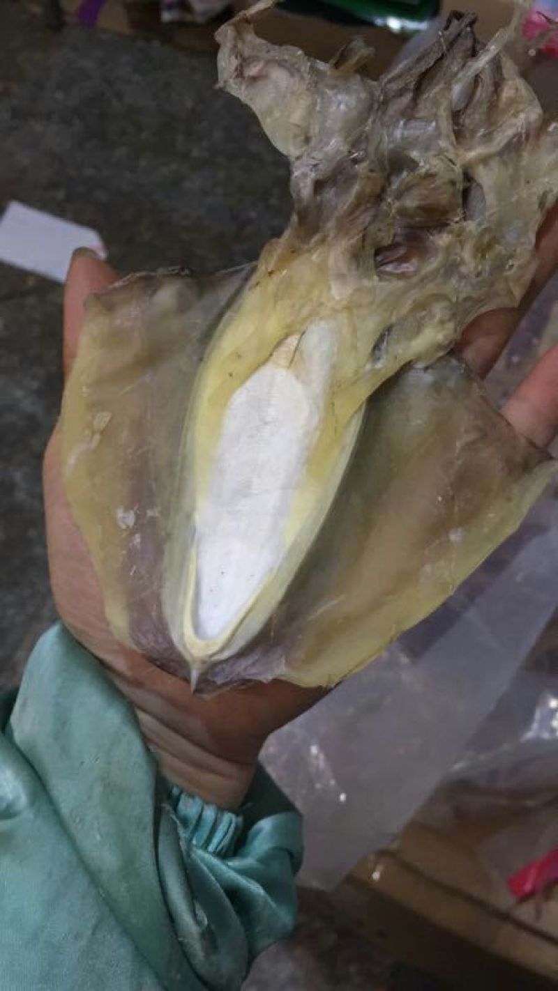 墨鱼干