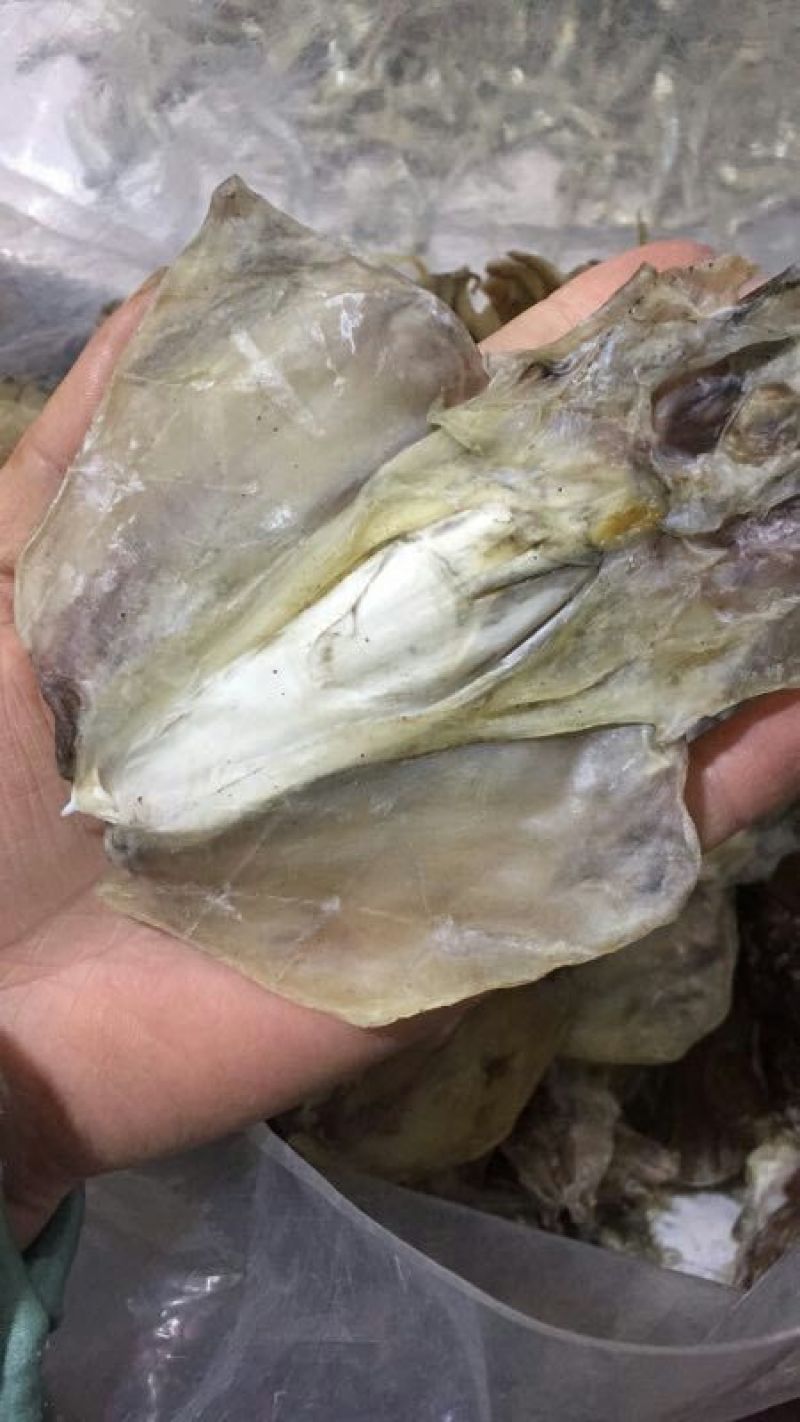 墨鱼干