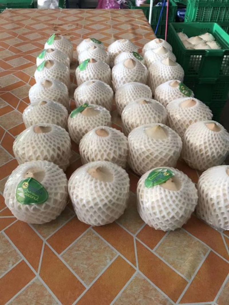 海南顶级椰青