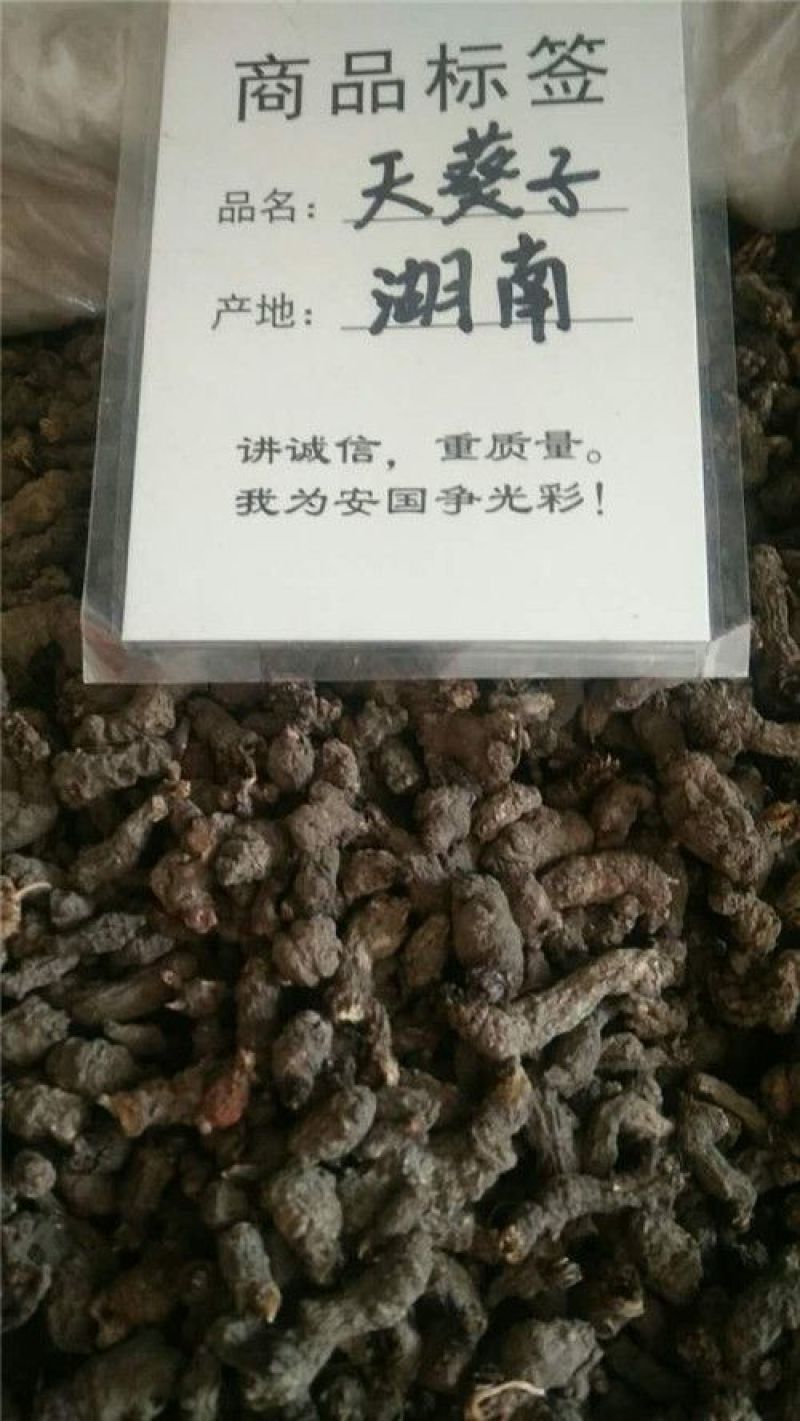 天葵子