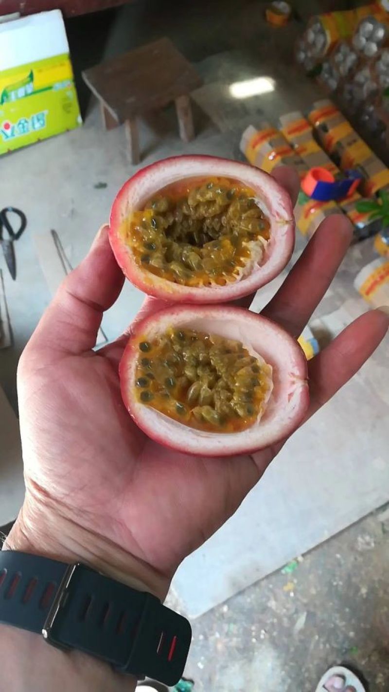 百香果开始上市了，需要的联系我