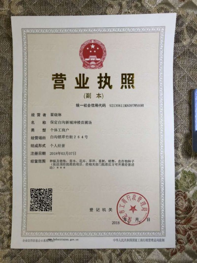 七叶一枝花，纯正云南滇重楼子90%以上出苗率