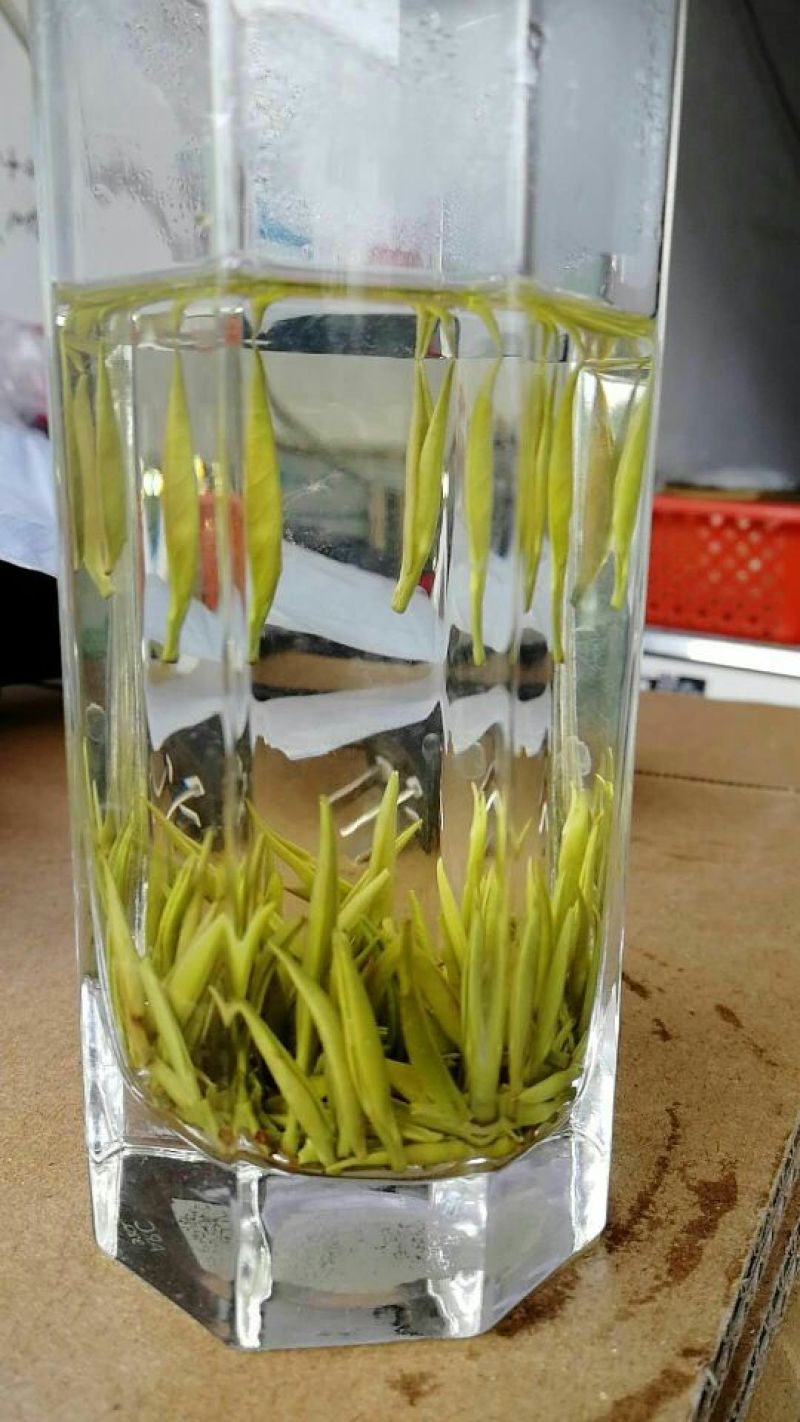 绿茶，毛尖芽特级