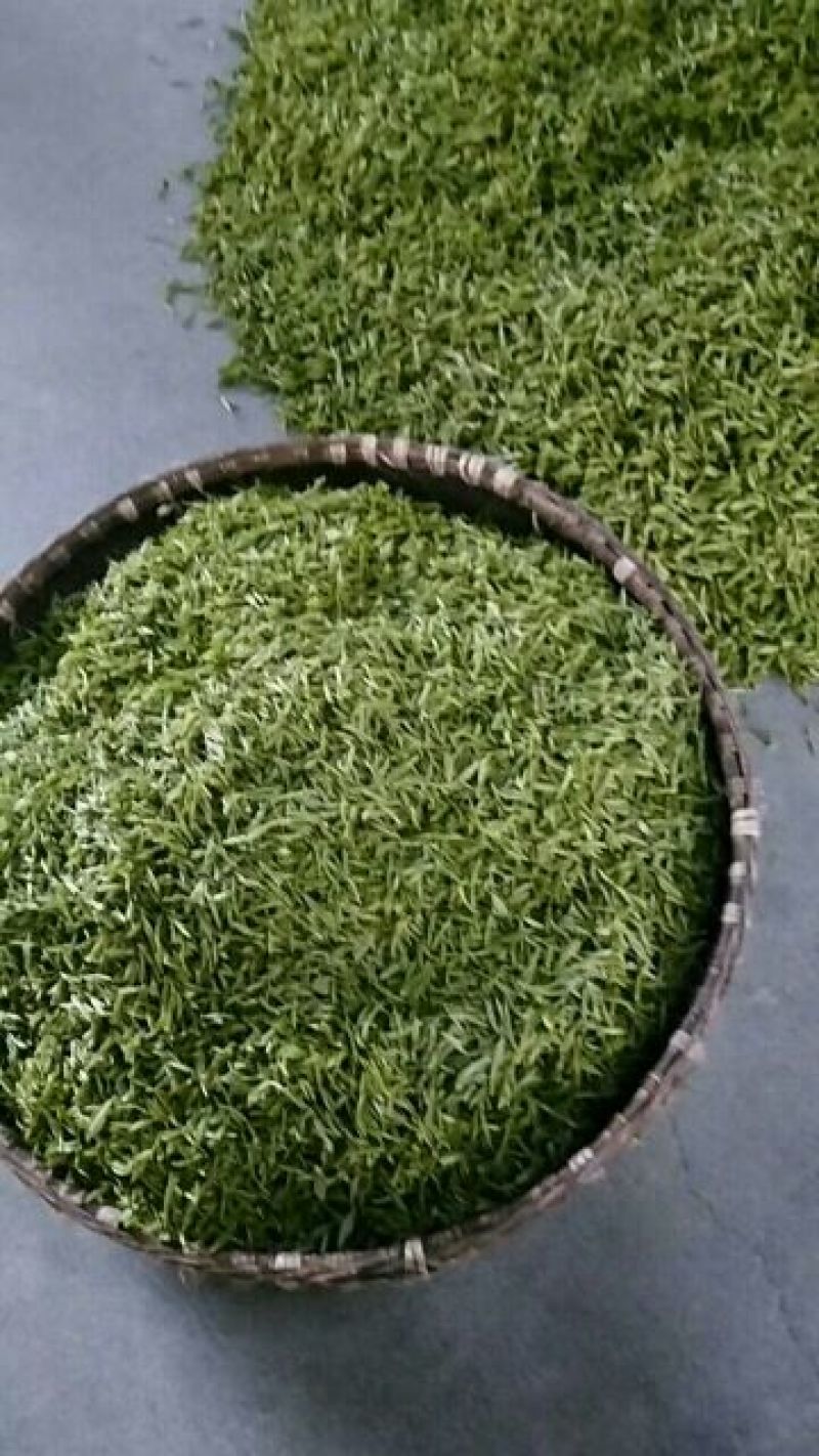 绿茶，毛尖芽特级