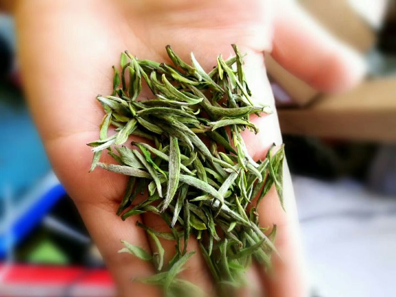 绿茶，毛尖芽特级