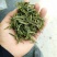 绿茶，2018新茶