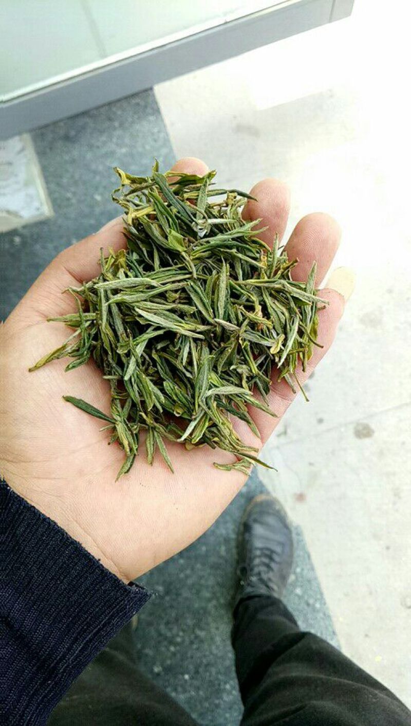 绿茶，2018新茶