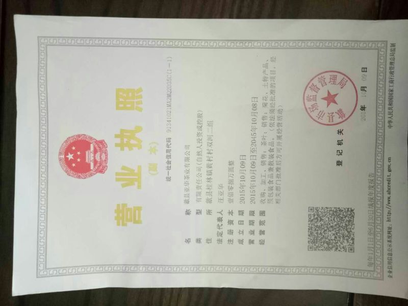 菊花茶，金丝黄菊，