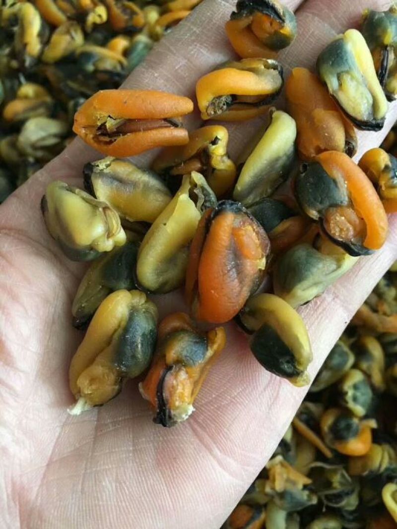 淡菜