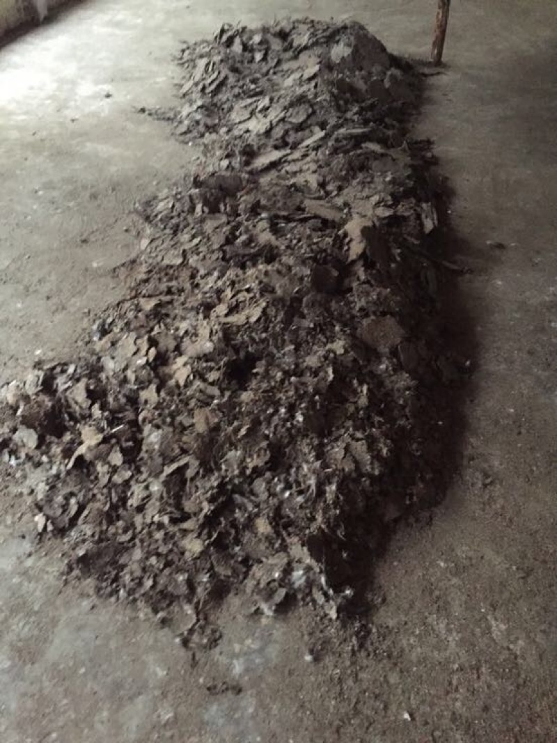 鸡粪（新鲜干鸡粪）量大