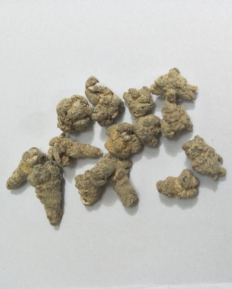 120头优等水洗三七
