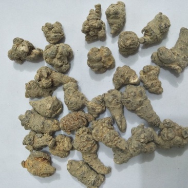 120头优等水洗三七