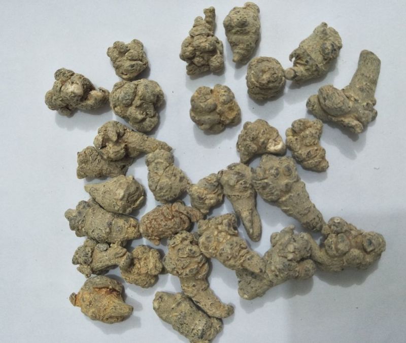 120头优等水洗三七