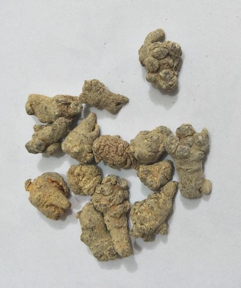 120头优等水洗三七