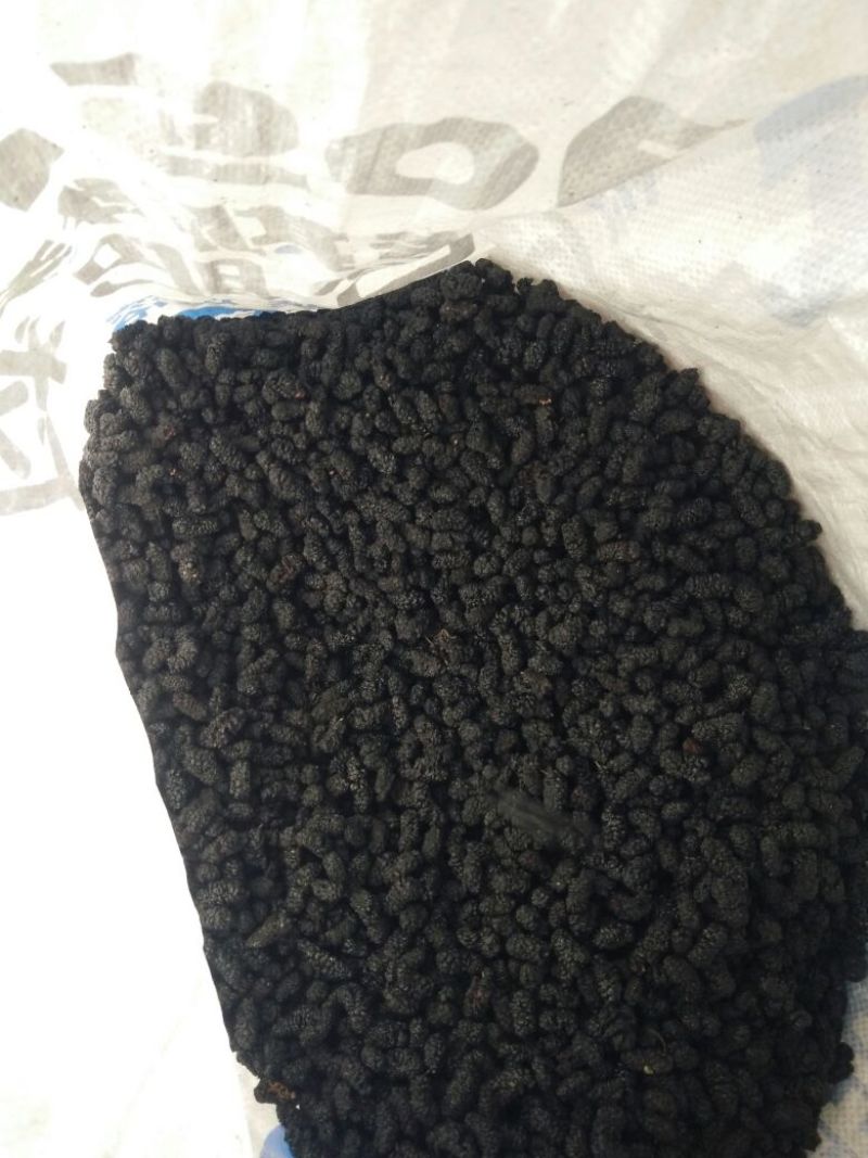 【精品】精选四川优质桑椹干无沙高糖分批发零售一件包邮