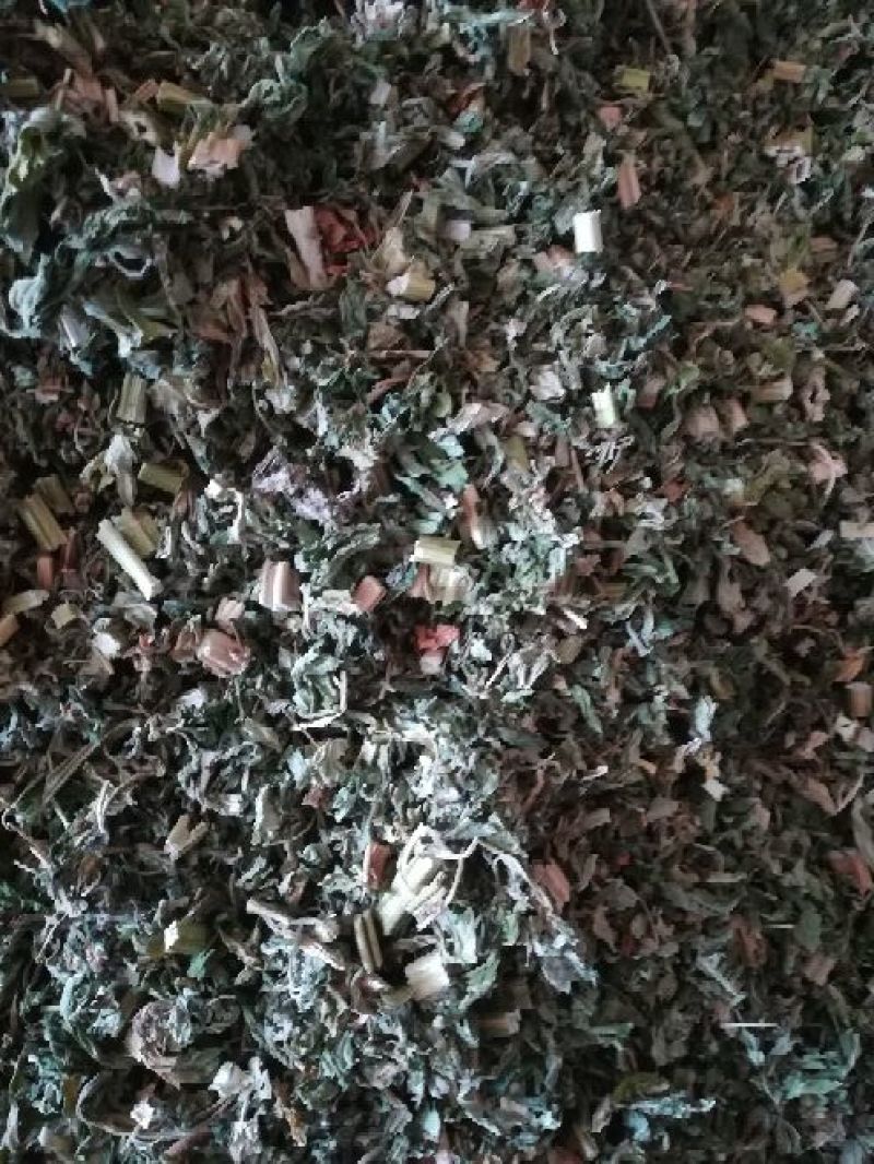 益母草饮片湖北襄阳地产野生