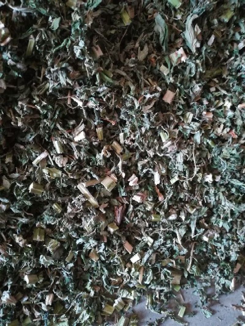 益母草饮片湖北襄阳地产野生
