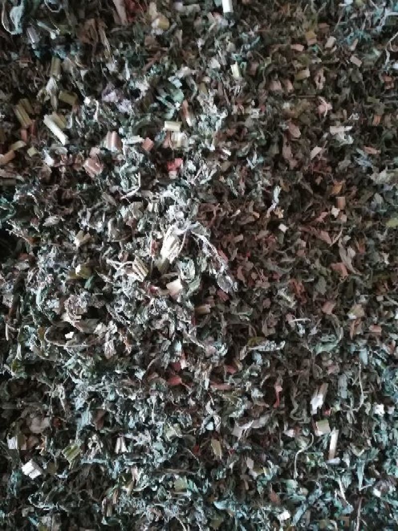 益母草饮片湖北襄阳地产野生