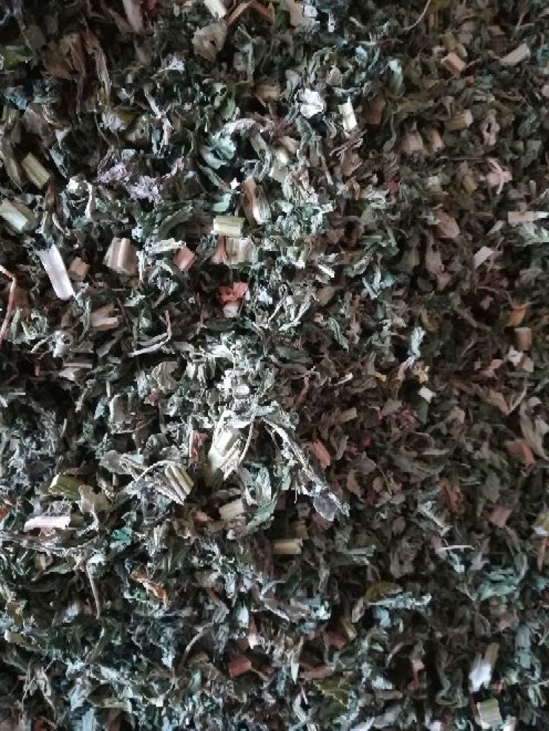 益母草饮片湖北襄阳地产野生
