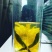长顺农品“贵皇菊茶”