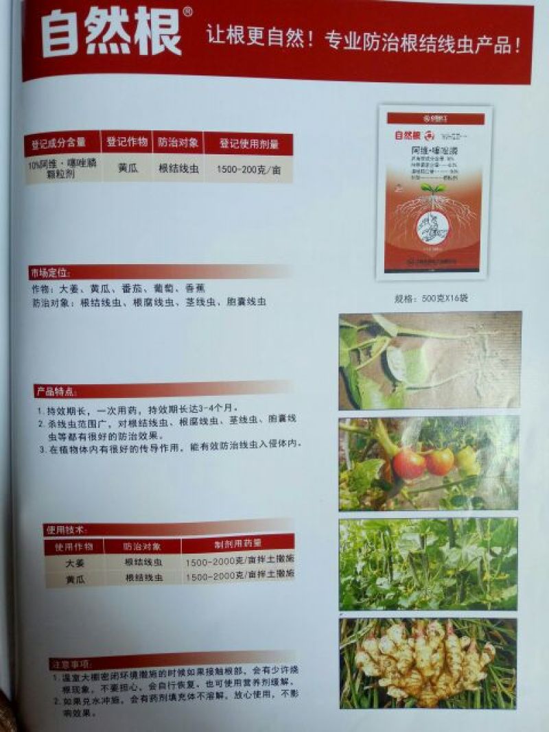 自然根10%阿维噻唑膦500克治根结线虫