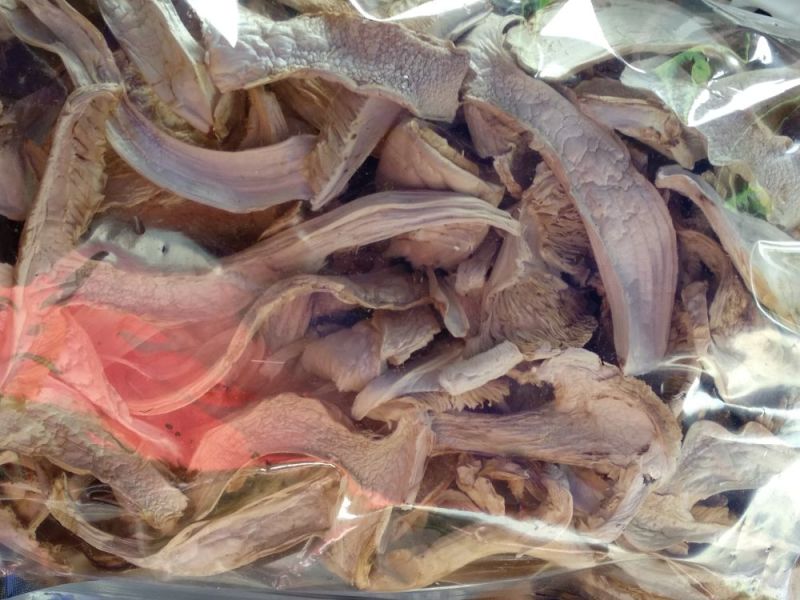 香格里拉松茸干片一件代发批发价格包邮