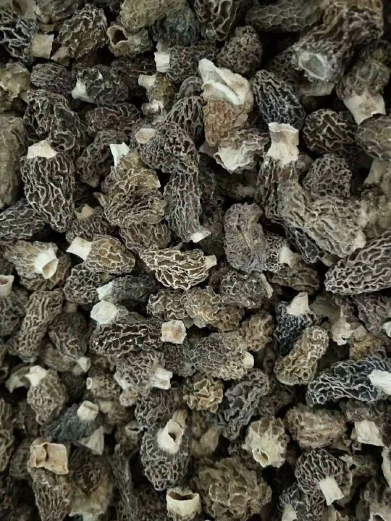 纯野生羊肚菌