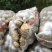 土豆