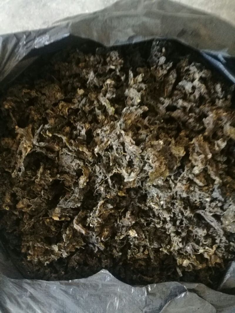 优质地皮菜干货手工去杂视频看货一手货源品质保障欢迎来电