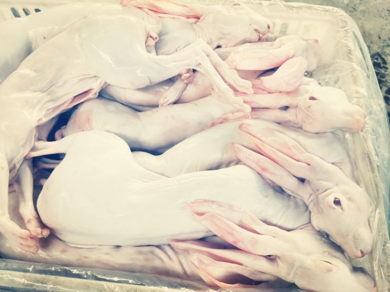 汤皮兔肉