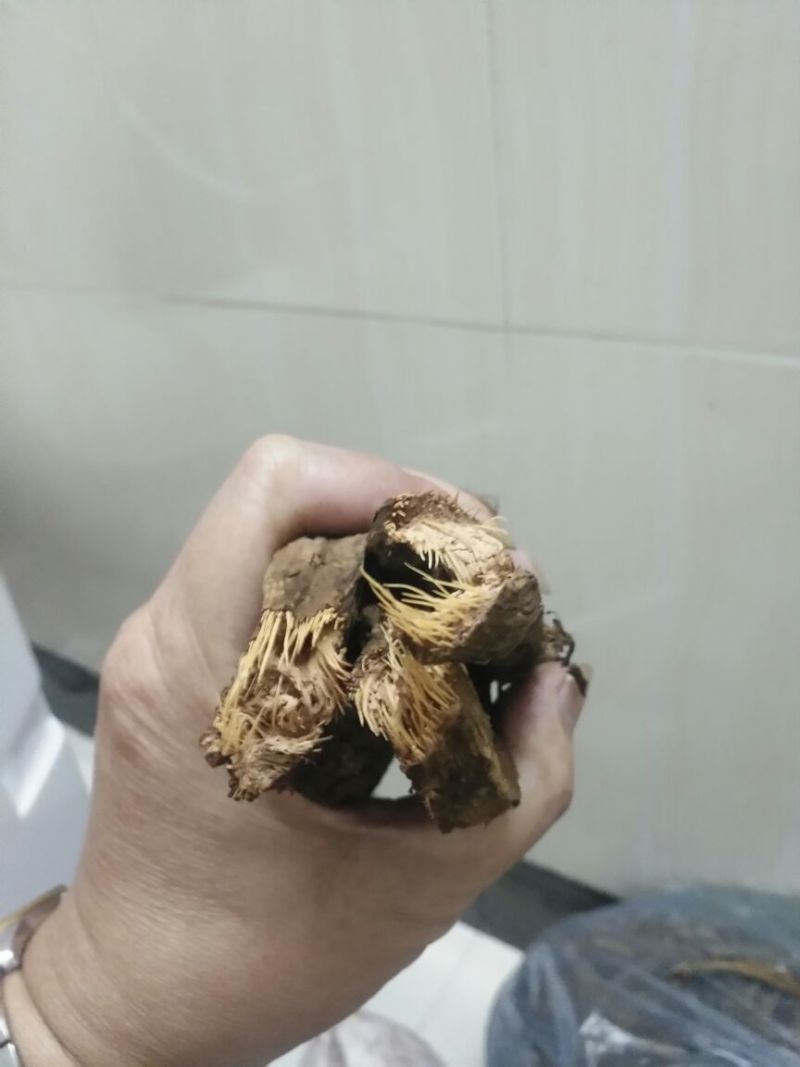 千年健