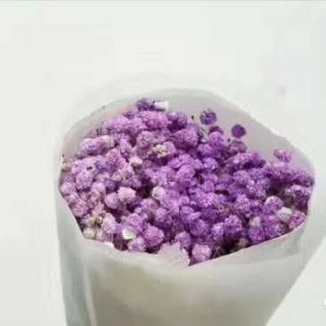 满天星