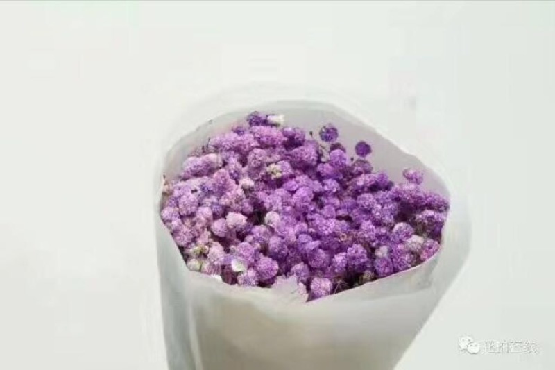 满天星
