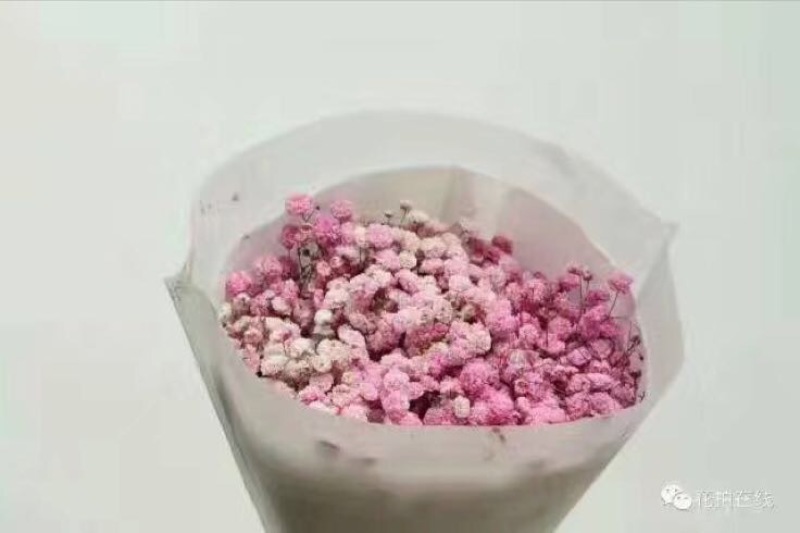 满天星
