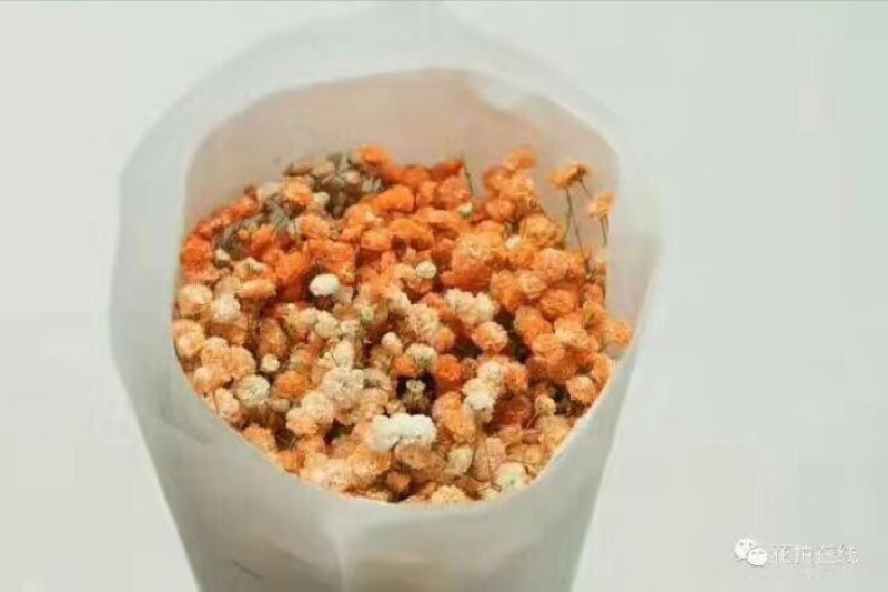 满天星